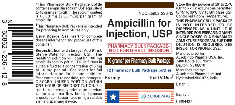 PACKAGE LABEL-PRINCIPAL DISPLAY PANEL – 10 g Pharmacy Bulk Package (12 Vials) Box Label
