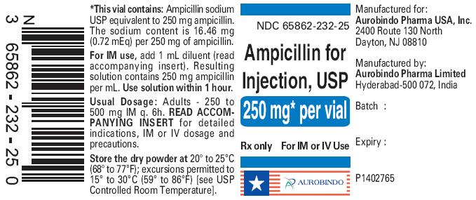 PACKAGE LABEL-PRINCIPAL DISPLAY PANEL - 250 mg Vial Label