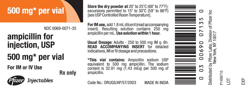 PACKAGE LABEL-PRINCIPAL DISPLAY PANEL - 500 mg Vial Label