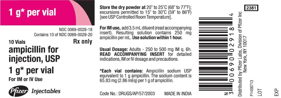 PACKAGE LABEL-PRINCIPAL DISPLAY PANEL - 1 g (10 Vial) Box Label