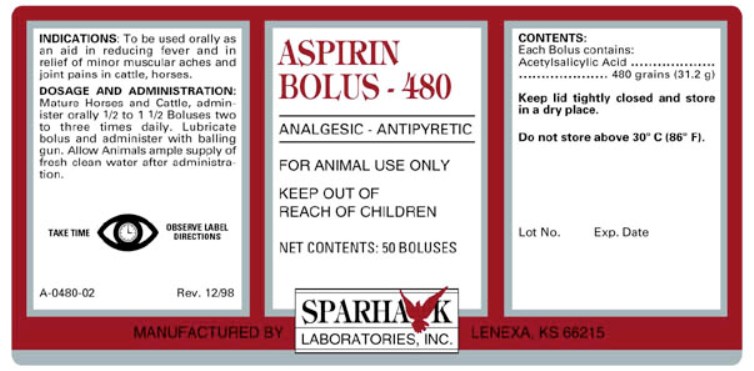 Image of aspirin bolus 480
