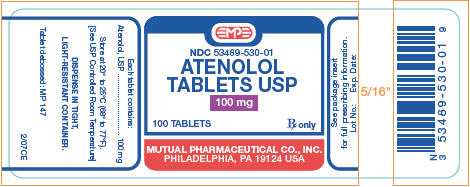 PRINCIPAL DISPLAY PANEL - 100 mg Tablet Label