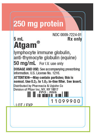 PRINCIPAL DISPLAY PANEL - 250 mg Ampule Label