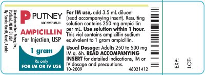 Ampicillin 1 gram Label