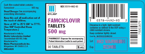 Famciclovir Tablets 500 mg Bottles