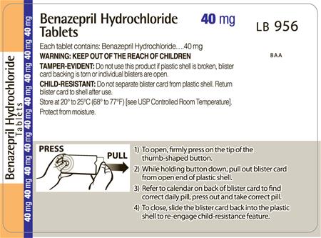 Benazepril Tablets 40mg Backside Label
