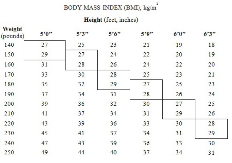 BODY MASS INDEX (BMI), kg/m2