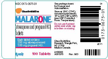 MALARONE Tablets Label - 250mg atovaquone/100mg proguanil HCl
