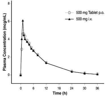 Figure 3: Mean Levofloxacin Plasma Concetration vs. Time Profile: 500 mg