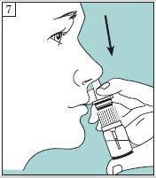 7. The recommended dose of Calcitonin-Salmon Nasal Spray is one spray once a day in one nostril.
Keep your head upright and carefully place the nozzle in one nostril.
Tilt the bottle until it is in a straight line with the nasal passage.
Firmly press down on the pump once to spray the medication into your nose. It is not necessary to inhale while this is being done. Please note: Because the mist is so fine, you may not feel it inside your nose. Also, some medication may drip out of your nose. However, in either case, the medication is absorbed. IMPORTANT: Do not “test” the spray unit or prime it before you use your daily dose because this will waste your medication.
