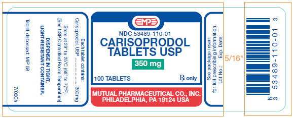 Principal Display Panel - 100 Tablet Label