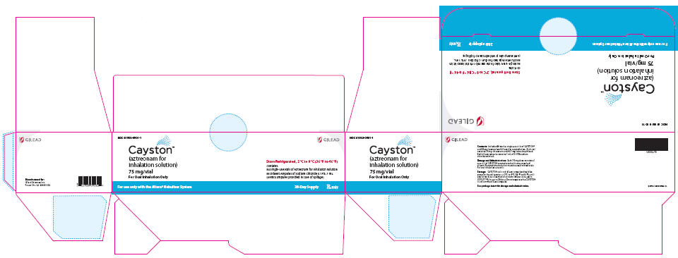 Principal Display Panel - Cayston 28 Day Carton