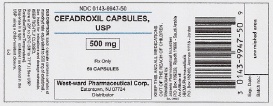 Cefadroxil Capsules, USP 500 mg/50 Capsules