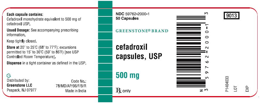 PACKAGE LABEL-PRINCIPAL DISPLAY PANEL - 500 mg (50 Capsule Bottle)
