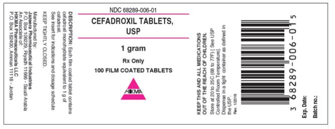 PRINCIPAL DISPLAY PANEL
NDC 68289-006-01
Cefadroxil Tablets
USP
1 Gram
100 Film coated Tablets
Rx Only
