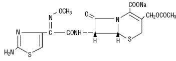 Cefotaxime Molecule