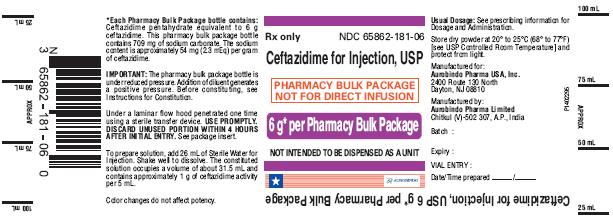 PACKAGE LABEL-PRINCIPAL DISPLAY PANEL – 6 g Pharmacy Bulk Package Label