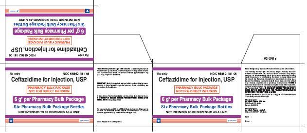PACKAGE LABEL-PRINCIPAL DISPLAY PANEL – 6 g Pharmacy Bulk Package (6 Vials) Box Label