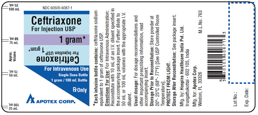 PRINCIPAL DISPLAY PANEL - 1 gram/100 mL Bottle Label