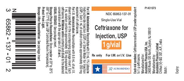 Ceftriaxone for Inj. - 1 g Vial Label