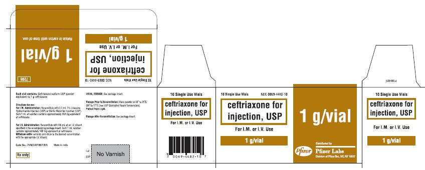 Ceftriaxone for Inj. - 1 g (10 Vial) Carton Label