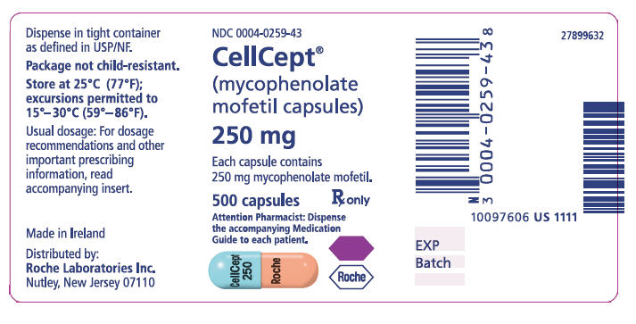 PRINCIPAL DISPLAY PANEL - 250 mg Capsule Carton