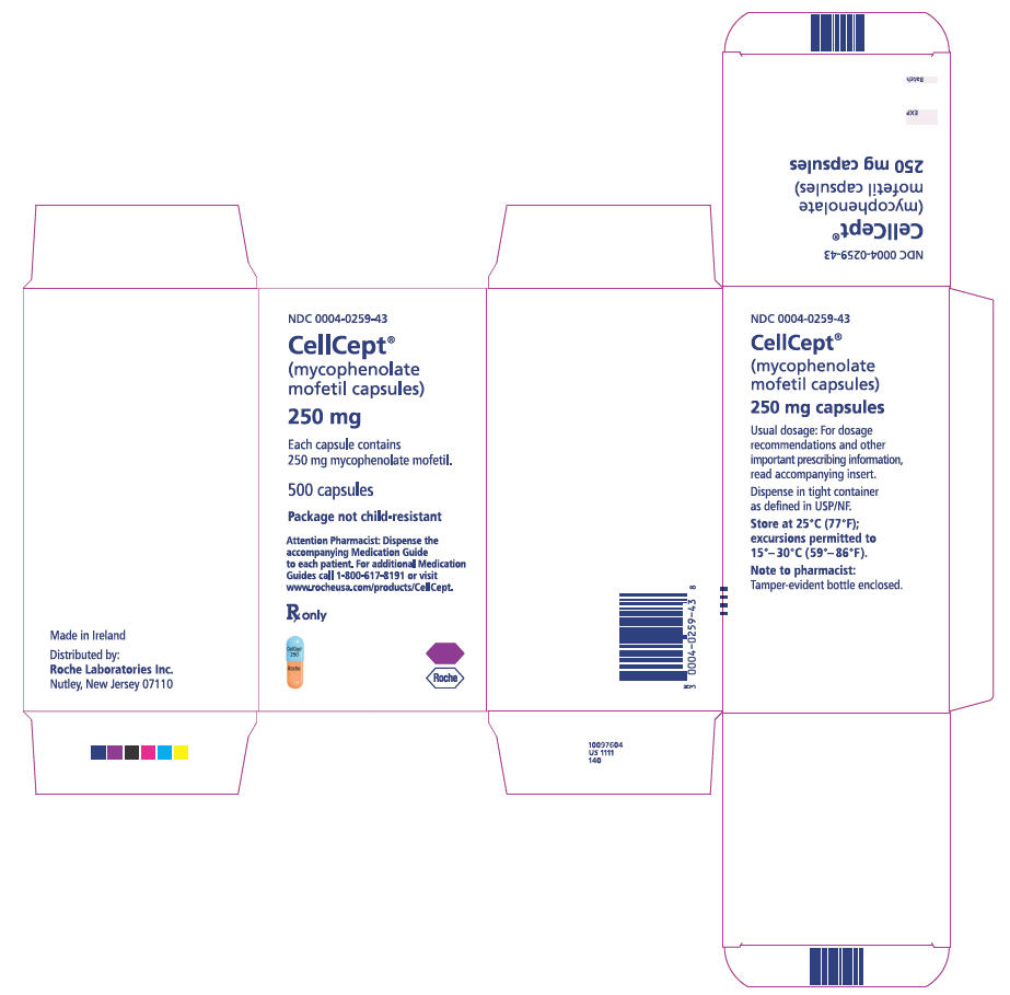 PRINCIPAL DISPLAY PANEL - 500 mg Tablet Carton