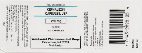 Cephalexin Capsules, USP
250 mg/500 Capsules