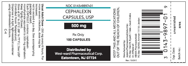 Cephalexin Capsules, USP
500 mg/100 Capsules