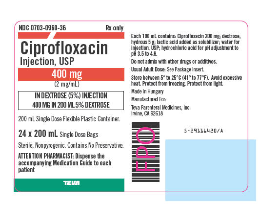 PRINCIPAL DISPLAY PANEL - 400 mg Carton Label