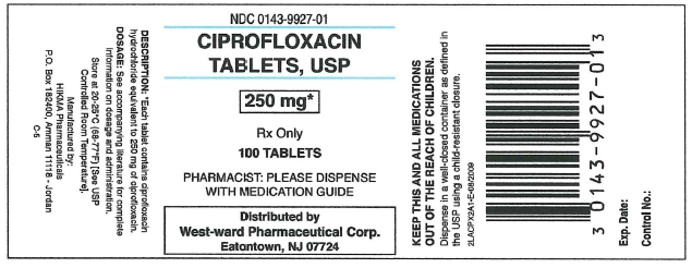 Ciprofloxacin Tablets, USP
250 mg/100 Tablets