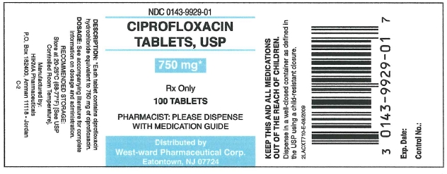 Ciprofloxacin Tablets, USP
500 mg/100 Tablets