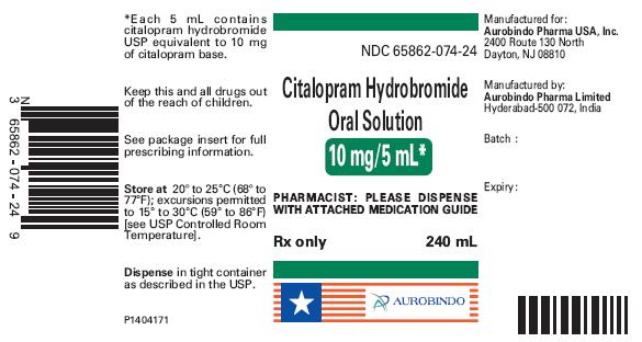 PACKAGE LABEL-PRINCIPAL DISPLAY PANEL - 10 mg/5 mL (240 mL Bottle)