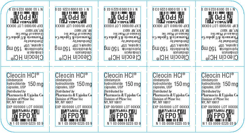 PRINCIPAL DISPLAY PANEL - 150 mg Capsule Blister Pack