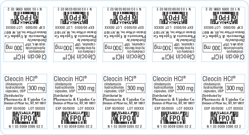 PRINCIPAL DISPLAY PANEL - 300 mg Capsule Blister Pack