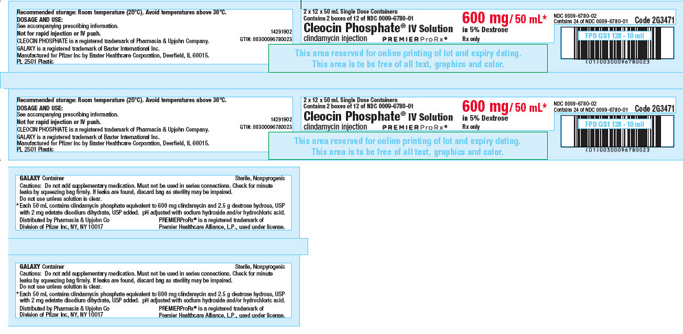 PRINCIPAL DISPLAY PANEL - 600 mg/50 mL Bag Box Label