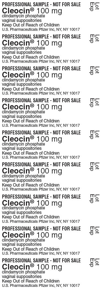 PRINCIPAL DISPLAY PANEL - 100 mg Blister Pack