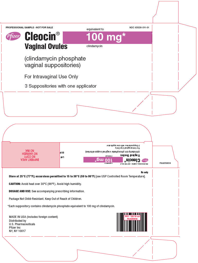 PRINCIPAL DISPLAY PANEL - 100 mg Blister Pack Carton