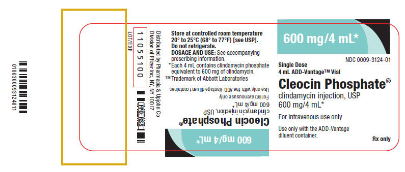 PRINCIPAL DISPLAY PANEL - 9,000 mg/60 mL Bulk Carton