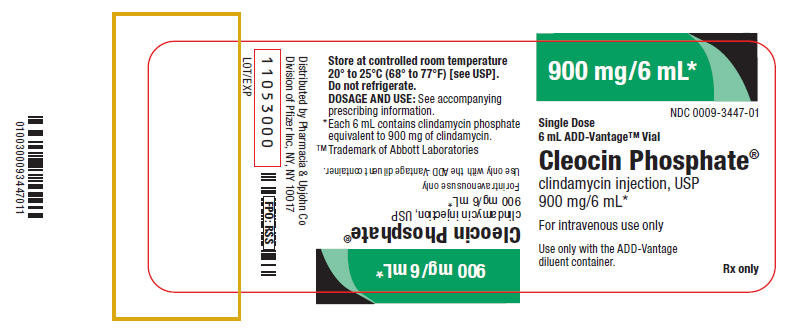 Principal Display Panel - 900 mg/6 mL Vial Label