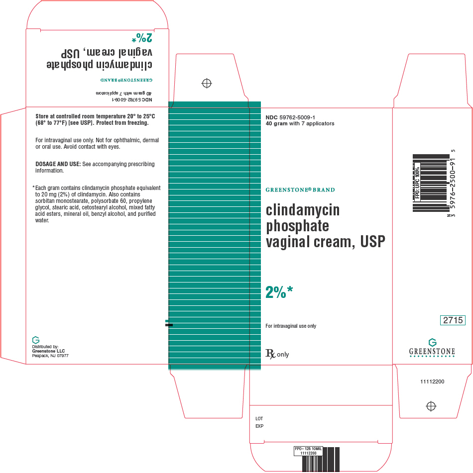 PRINCIPAL DISPLAY PANEL - 40 gram Tube Carton