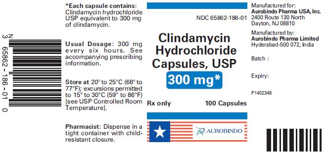 PACKAGE LABEL-PRINCIPAL DISPLAY PANEL - 300 mg (100 Capsule Bottle)