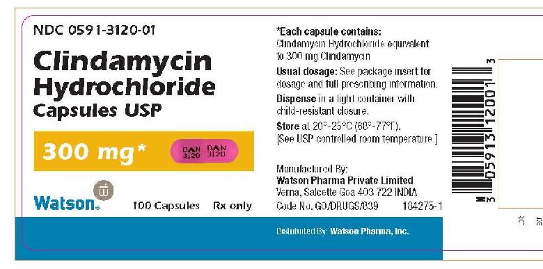 NDC 0591-3120-01 Clindamycin Hydrochloride Capsules USP 300 mg