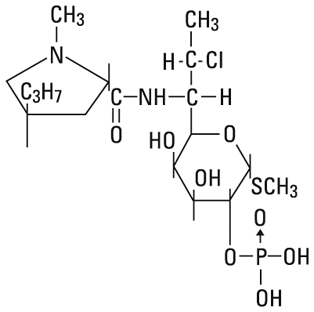 structural formula clindamycin