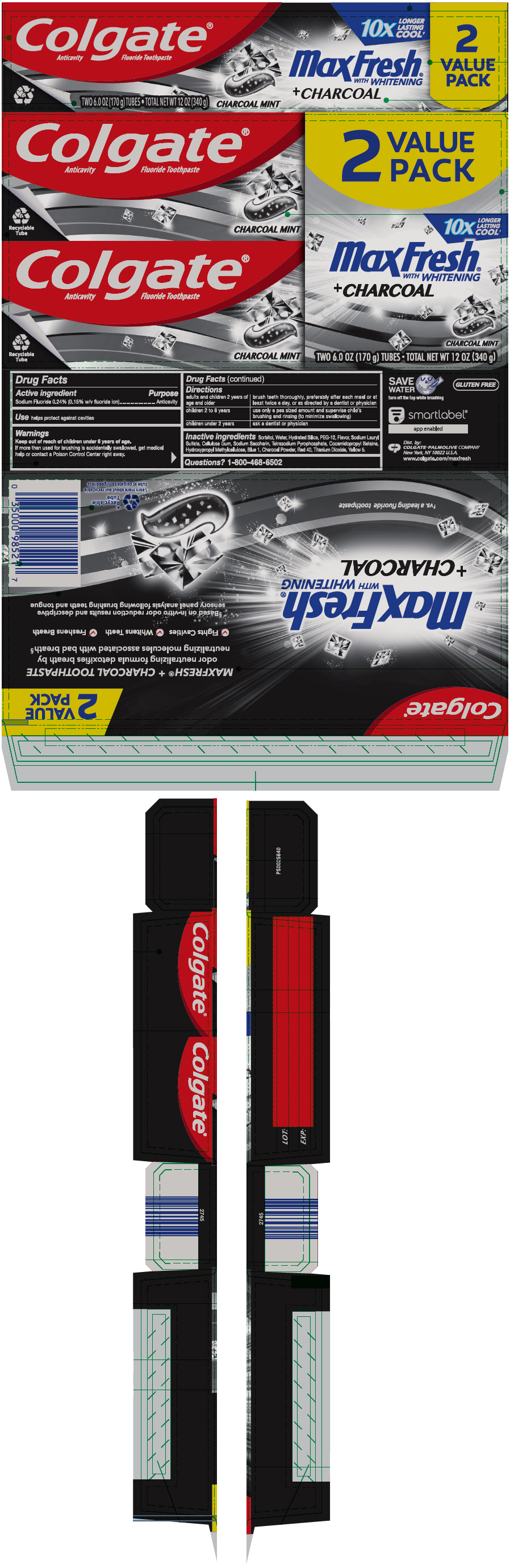 PRINCIPAL DISPLAY PANEL - Two 170 g Tube Carton