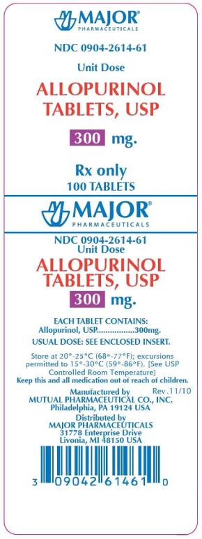 Allopurinol 300 mg Tablets