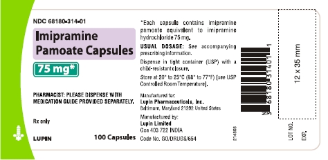 Imipramine Pamoate Capsules - 100 capsules- 75 mg