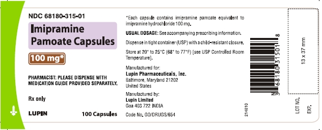 Imipramine Pamoate Capsules - 100 capsules- 100 mg