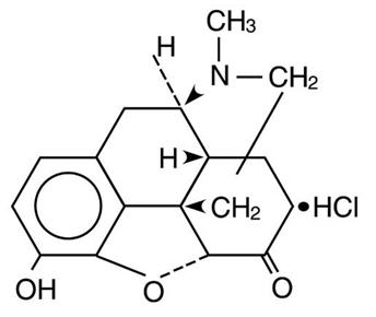 Dilaudid Structure