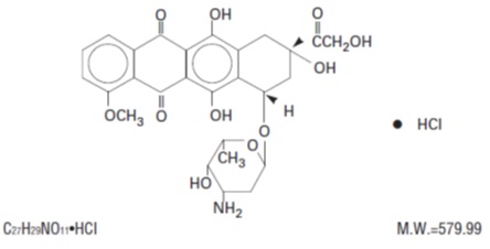 doxorubicin-spl-structure